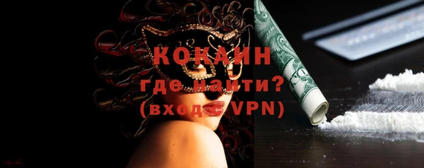 прущие грибы Саяногорск