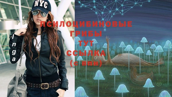 крисы Сафоново