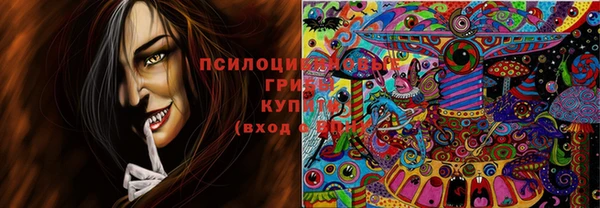 PSILOCYBIN Сатка
