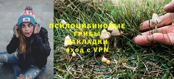 крисы Сафоново