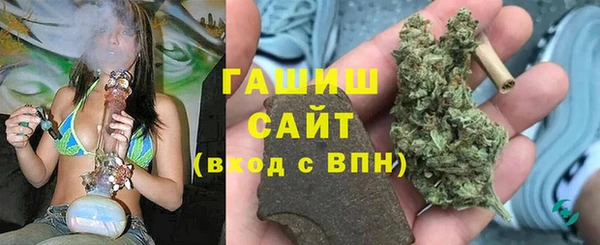 прущие грибы Саяногорск