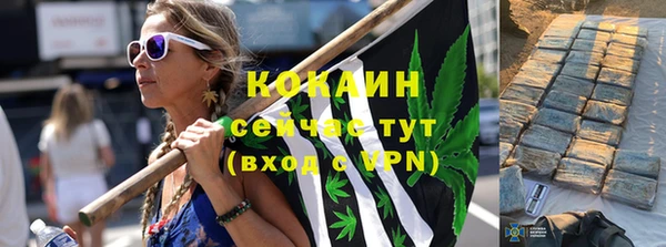 прущие грибы Саяногорск