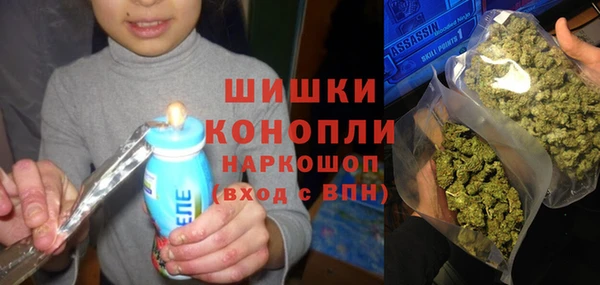 прущие грибы Саяногорск