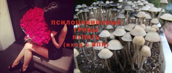 крисы Сафоново