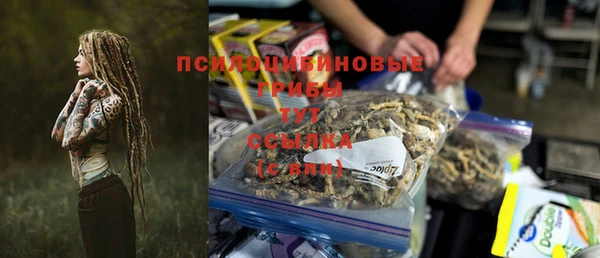PSILOCYBIN Сатка