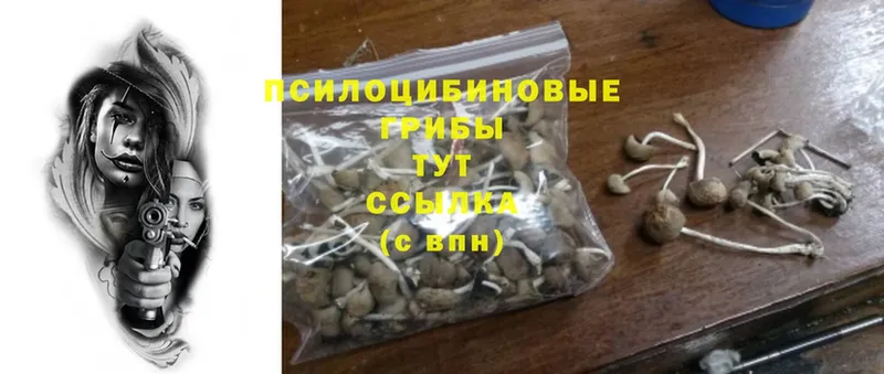 Псилоцибиновые грибы GOLDEN TEACHER  Тосно 