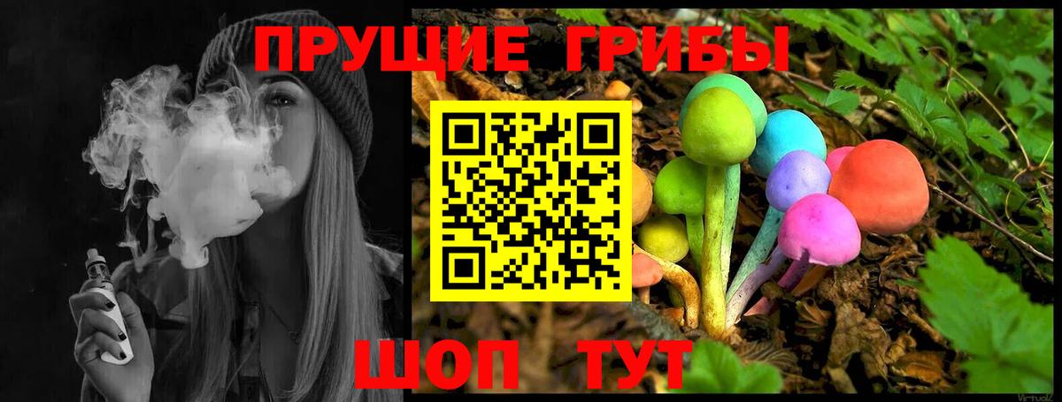 Тосно  Галлюциногенные грибы мухоморы  Вход с VPN 